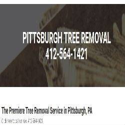 Pittsburgh Tree Removal
