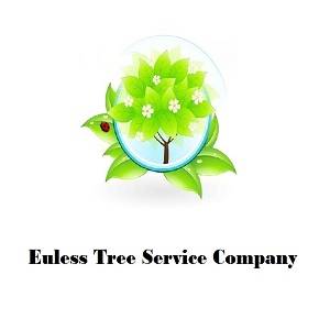 Euless Tree Service Company